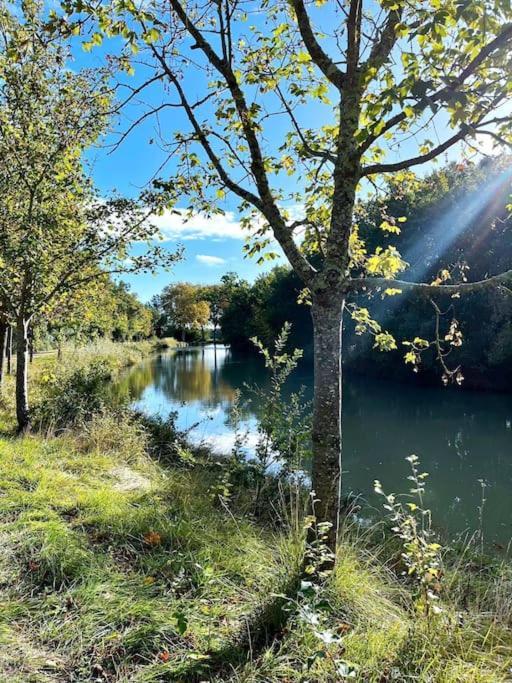 Insolite Peniche Amazonie Canal Du Midi Gardouch Extérieur photo