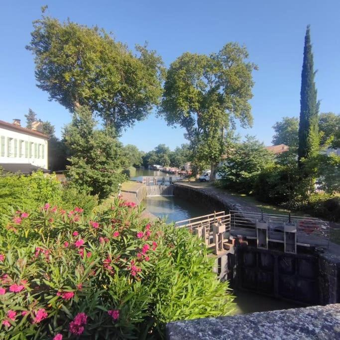 Insolite Peniche Amazonie Canal Du Midi Gardouch Extérieur photo